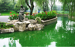 中国北京国際会議中心庭園池のアオコ除去