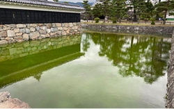 国宝松本城のアオコ対策