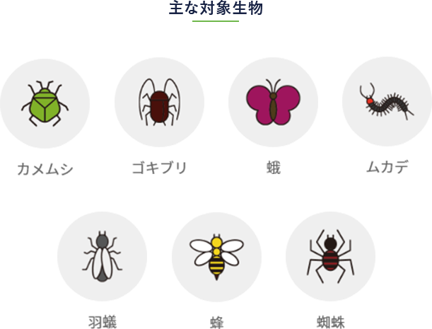 害虫ブロックイメージ