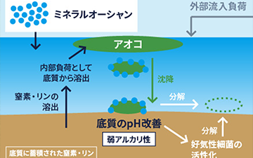 ミネラルオーシャンイメージ
